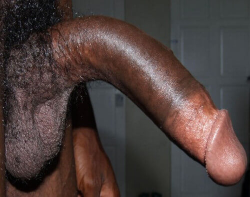 WhatsApp Image 2025-12-10 at 11.06.38 AM